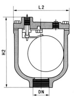 ARVX΢